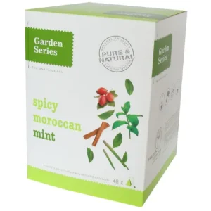 Garden serie Pyramide Spicy Moroccan Mint (48 stuks)